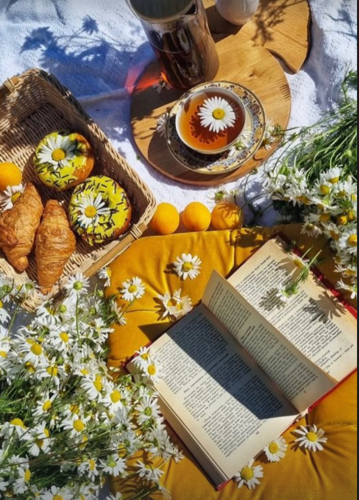 * Cottagecore themed Picnic