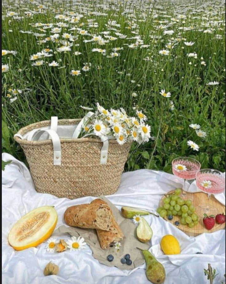 * Cottagecore themed Picnic