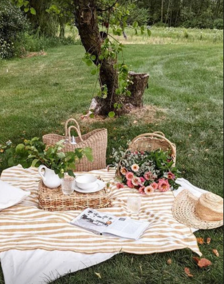 * Cottagecore themed Picnic