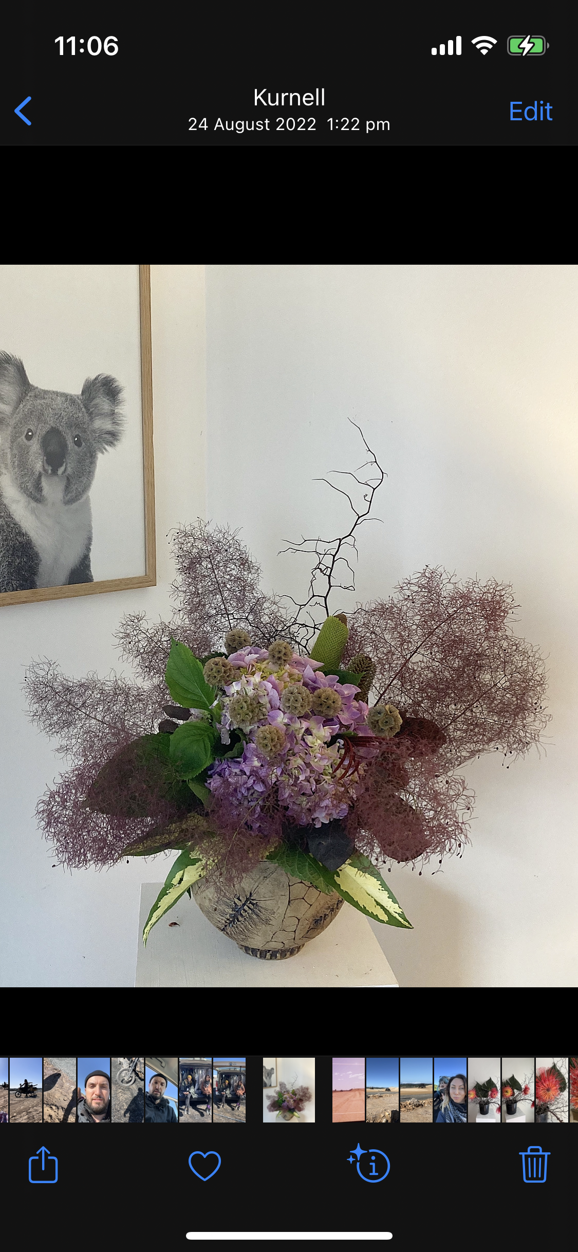 * Fresh Flowers from ‘Silky Oaks’ Wildflower Farm.