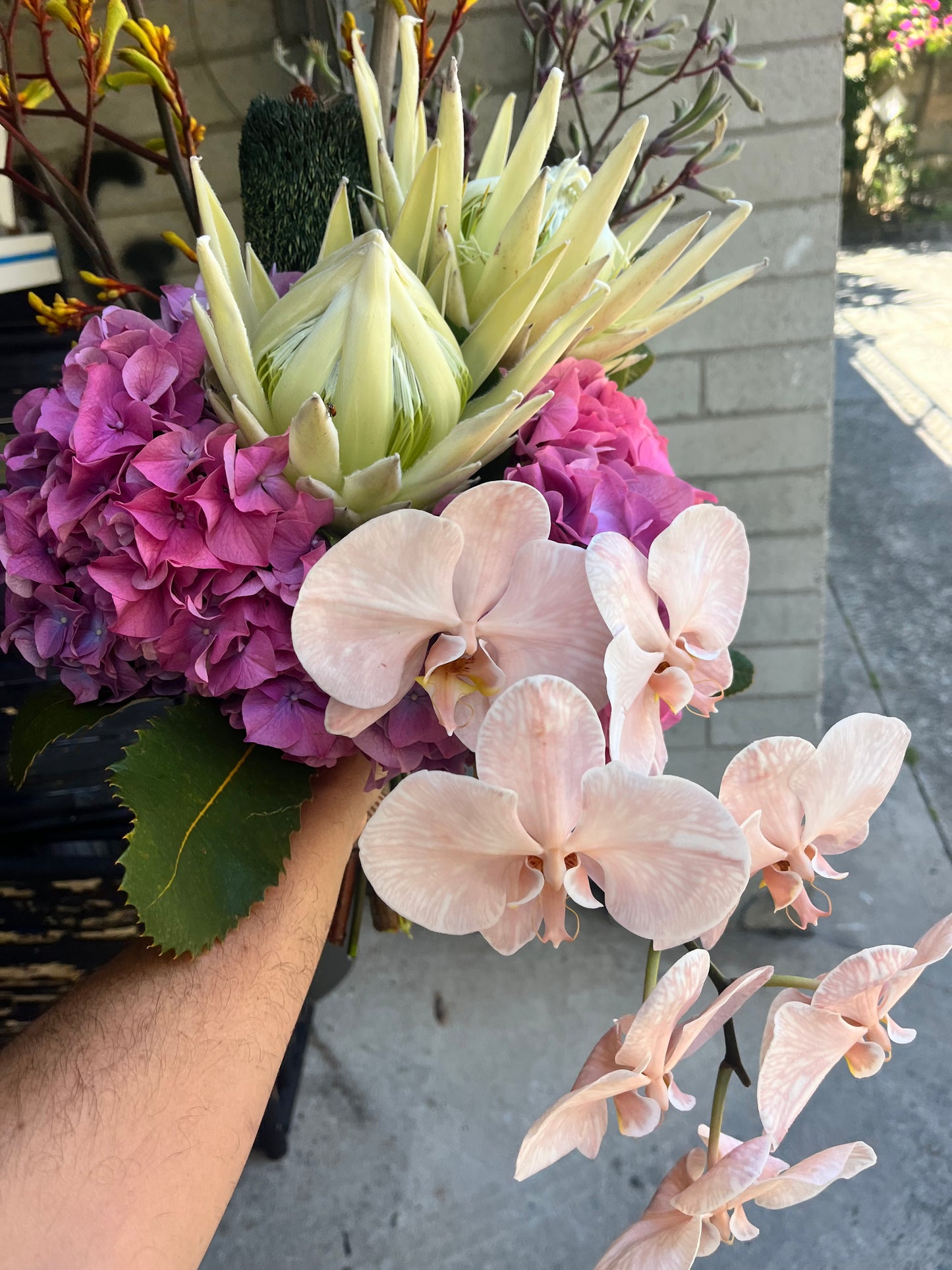 * Fresh Flowers from ‘Silky Oaks’ Wildflower Farm.