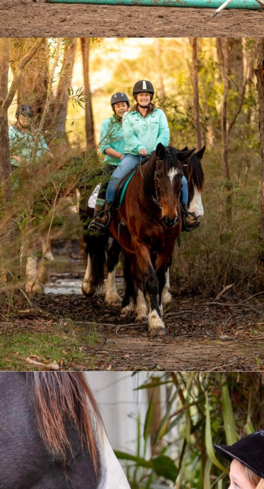 Horse Riding