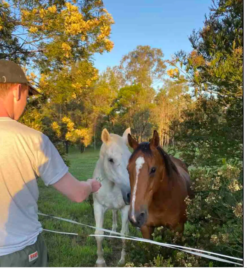 Horse Riding +lakeside retro Glamping (Mid week special! )