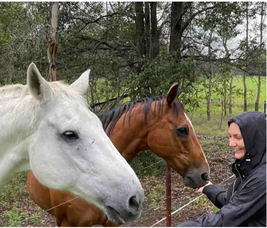 Horse Riding +lakeside retro Glamping (Mid week special! )