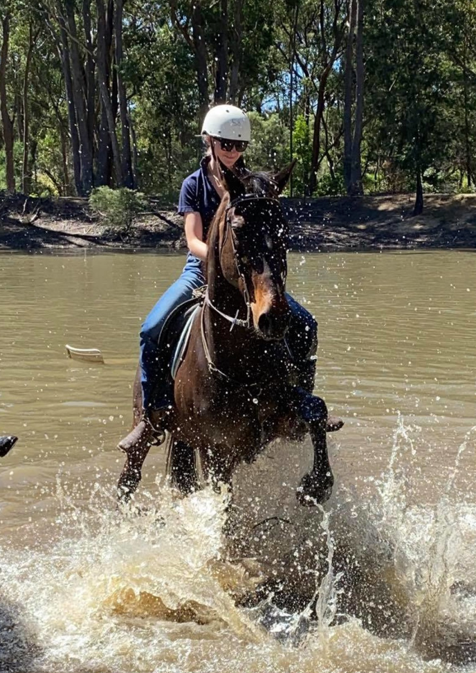 Horse Riding +lakeside retro Glamping (Mid week special! )